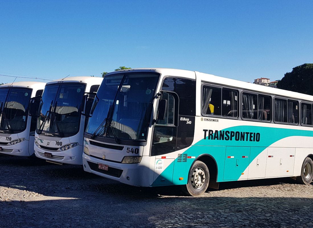 Transponteio branded coaches in the company gallery